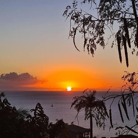 Ti Sucrier Jaune - Douceur Caraibe Vue Mer Le Carbet Bagian luar foto