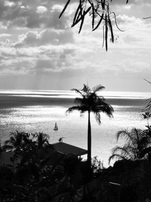 Ti Sucrier Jaune - Douceur Caraibe Vue Mer Le Carbet Bagian luar foto