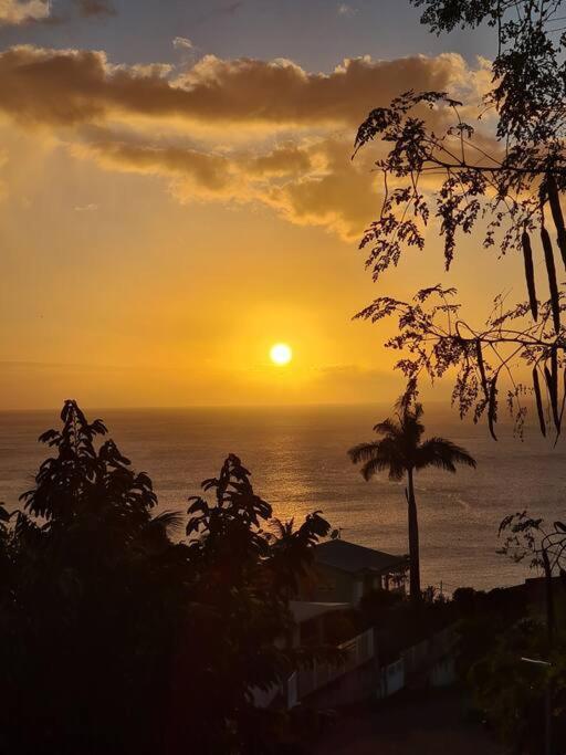 Ti Sucrier Jaune - Douceur Caraibe Vue Mer Le Carbet Bagian luar foto