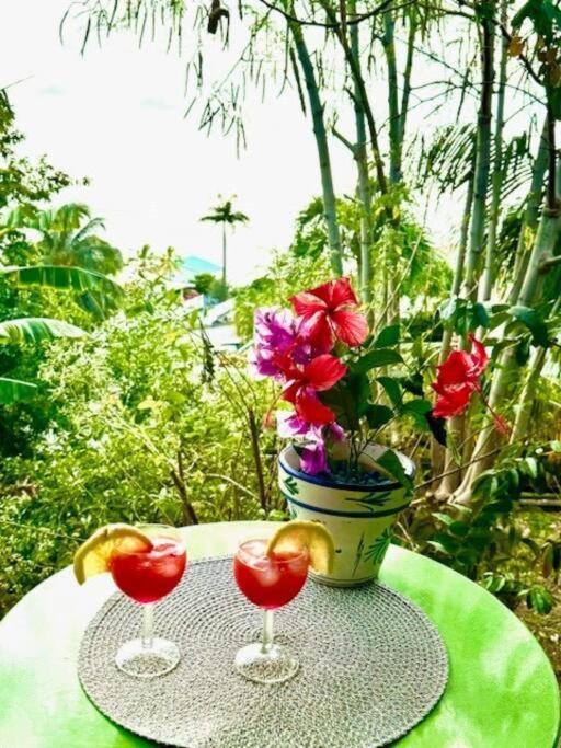 Ti Sucrier Jaune - Douceur Caraibe Vue Mer Le Carbet Bagian luar foto