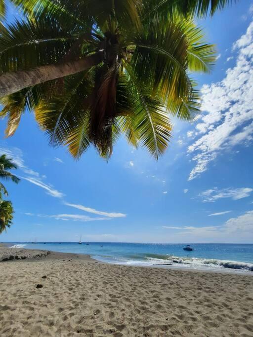 Ti Sucrier Jaune - Douceur Caraibe Vue Mer Le Carbet Bagian luar foto