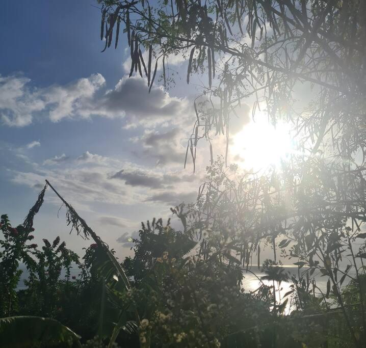 Ti Sucrier Jaune - Douceur Caraibe Vue Mer Le Carbet Bagian luar foto