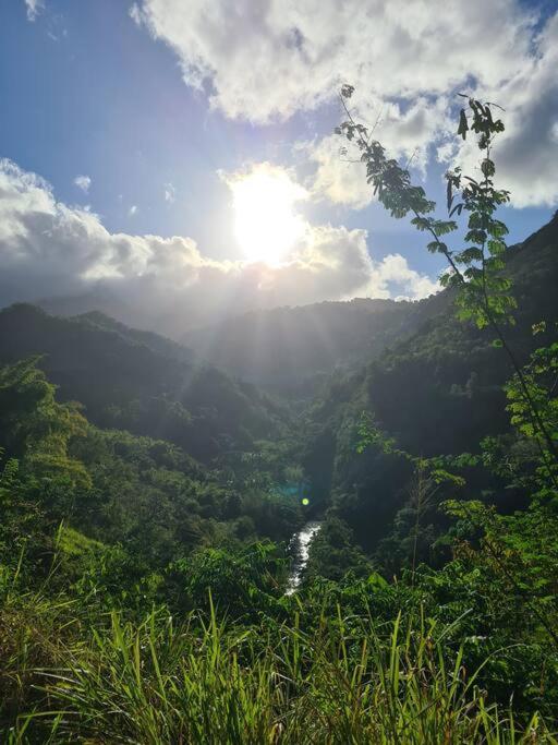 Ti Sucrier Jaune - Douceur Caraibe Vue Mer Le Carbet Bagian luar foto