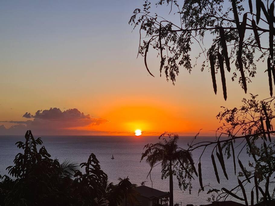 Ti Sucrier Jaune - Douceur Caraibe Vue Mer Le Carbet Bagian luar foto